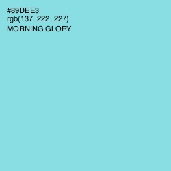 #89DEE3 - Morning Glory Color Image