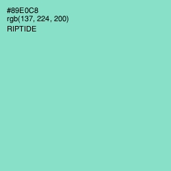 #89E0C8 - Riptide Color Image