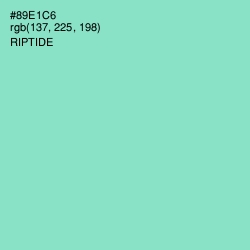 #89E1C6 - Riptide Color Image