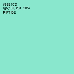 #89E7CD - Riptide Color Image