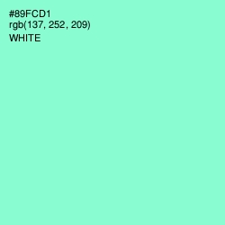 #89FCD1 - Riptide Color Image