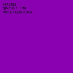 #8A01B2 - Violet Eggplant Color Image