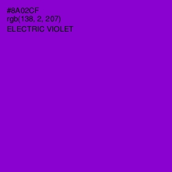 #8A02CF - Electric Violet Color Image