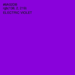 #8A02DB - Electric Violet Color Image