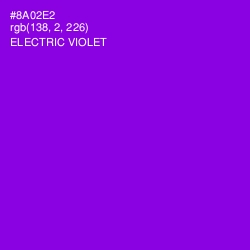 #8A02E2 - Electric Violet Color Image