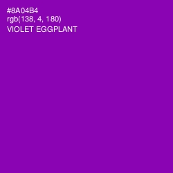 #8A04B4 - Violet Eggplant Color Image