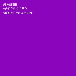 #8A05BB - Violet Eggplant Color Image