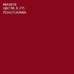 #8A081B - Pohutukawa Color Image