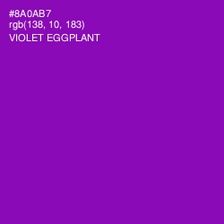 #8A0AB7 - Violet Eggplant Color Image