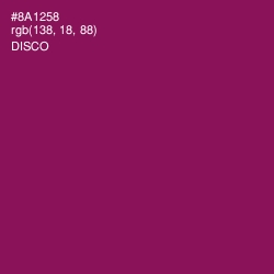 #8A1258 - Disco Color Image