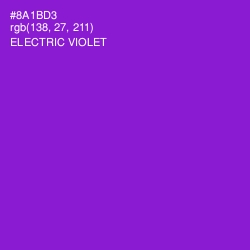 #8A1BD3 - Electric Violet Color Image