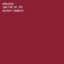 #8A2032 - Burnt Umber Color Image