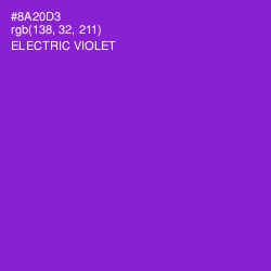 #8A20D3 - Electric Violet Color Image