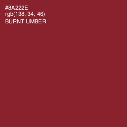 #8A222E - Burnt Umber Color Image