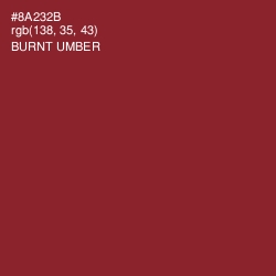 #8A232B - Burnt Umber Color Image