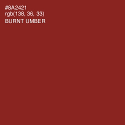 #8A2421 - Burnt Umber Color Image