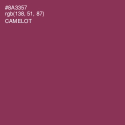 #8A3357 - Camelot Color Image