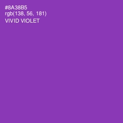 #8A38B5 - Vivid Violet Color Image