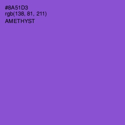 #8A51D3 - Amethyst Color Image