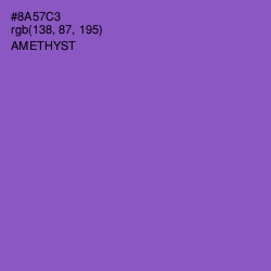 #8A57C3 - Amethyst Color Image