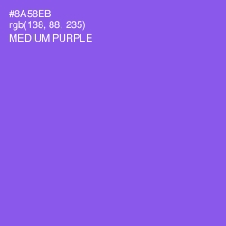 #8A58EB - Medium Purple Color Image