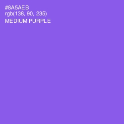 #8A5AEB - Medium Purple Color Image