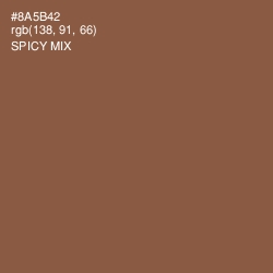 #8A5B42 - Spicy Mix Color Image