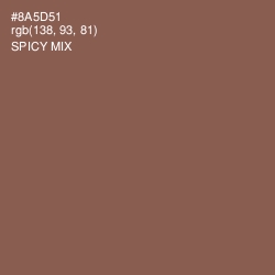 #8A5D51 - Spicy Mix Color Image