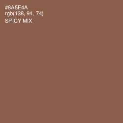 #8A5E4A - Spicy Mix Color Image