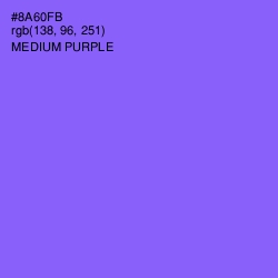 #8A60FB - Medium Purple Color Image