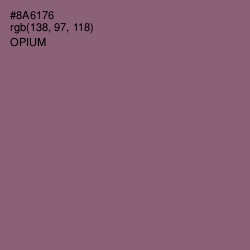 #8A6176 - Opium Color Image