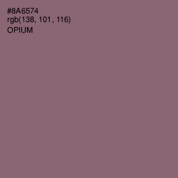 #8A6574 - Opium Color Image