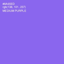 #8A65ED - Medium Purple Color Image