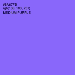 #8A67FB - Medium Purple Color Image