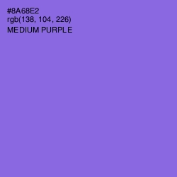 #8A68E2 - Medium Purple Color Image