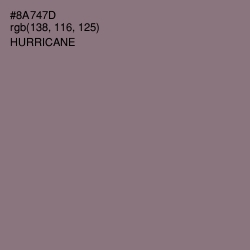 #8A747D - Hurricane Color Image