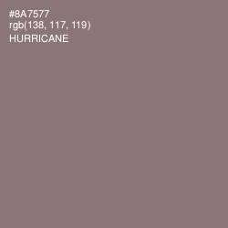 #8A7577 - Hurricane Color Image