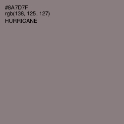 #8A7D7F - Hurricane Color Image