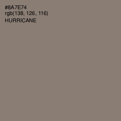 #8A7E74 - Hurricane Color Image