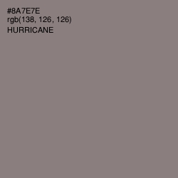 #8A7E7E - Hurricane Color Image