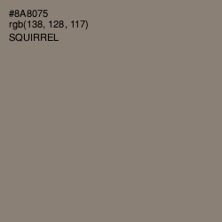 #8A8075 - Squirrel Color Image