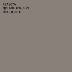 #8A807A - Schooner Color Image