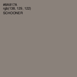#8A817A - Schooner Color Image