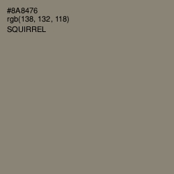 #8A8476 - Squirrel Color Image