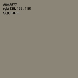 #8A8577 - Squirrel Color Image