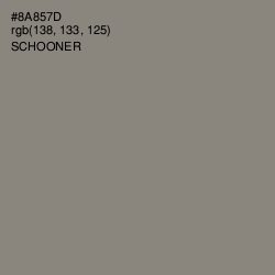 #8A857D - Schooner Color Image