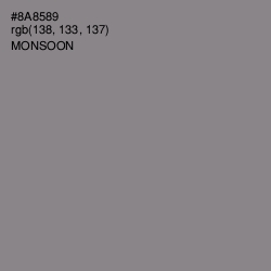 #8A8589 - Monsoon Color Image