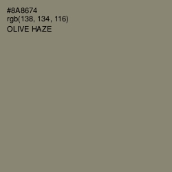 #8A8674 - Olive Haze Color Image