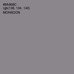 #8A868C - Monsoon Color Image