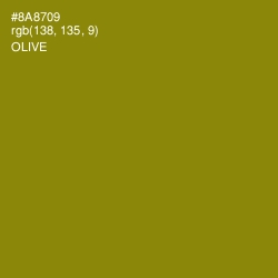 #8A8709 - Olive Color Image